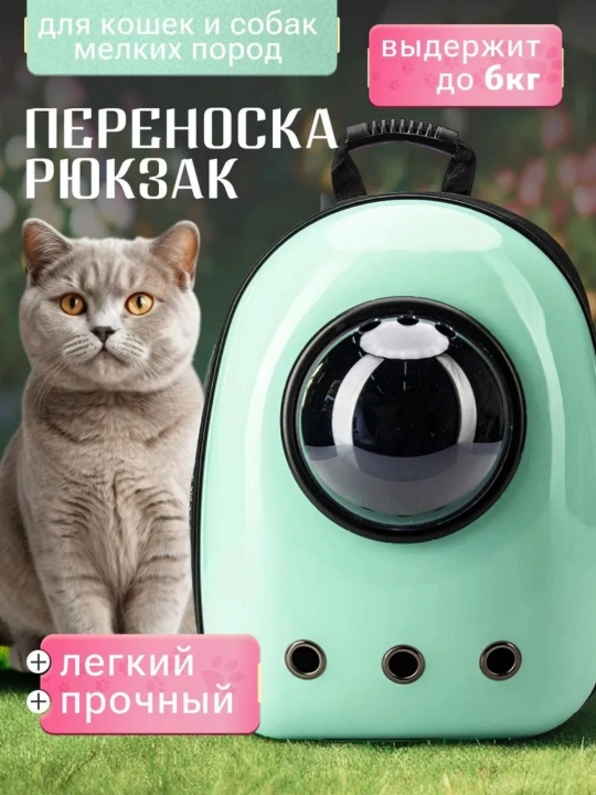 Mushuk va itlar uchun kosmik darchali sayohat ryukzagi