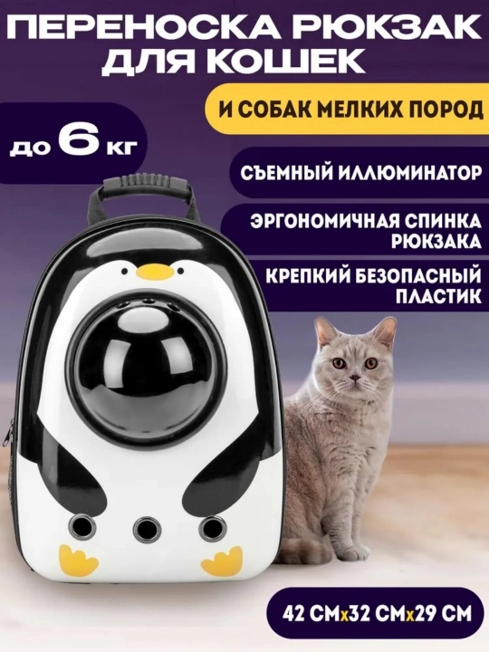 Mushuk va itlar uchun kosmik darchali sayohat ryukzagi