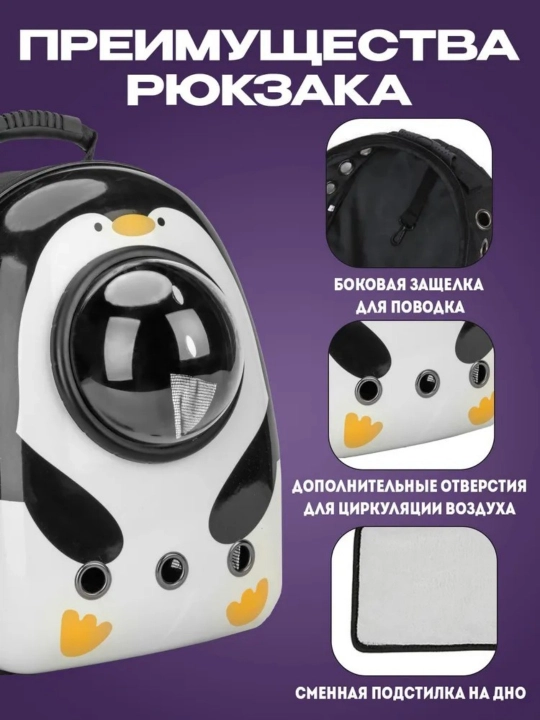 Mushuk va itlar uchun kosmik darchali sayohat ryukzagi