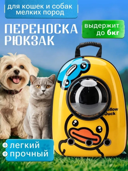 Mushuk va itlar uchun kosmik darchali sayohat ryukzagi
