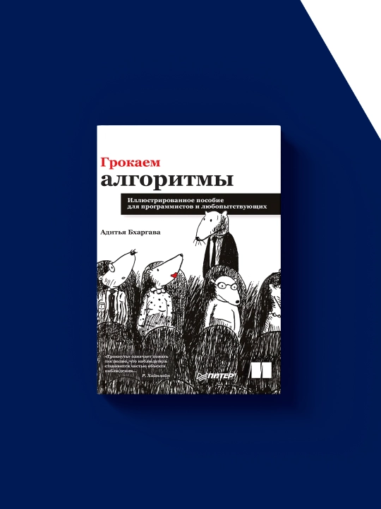 Aditya Bxargavaning "Algoritmlarni o‘rganamiz" kitobi