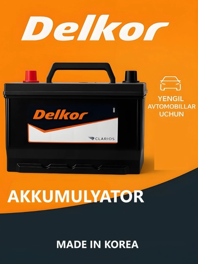 Delkor 12V для легковых авто, Корея — KLS-DELKOR-100L