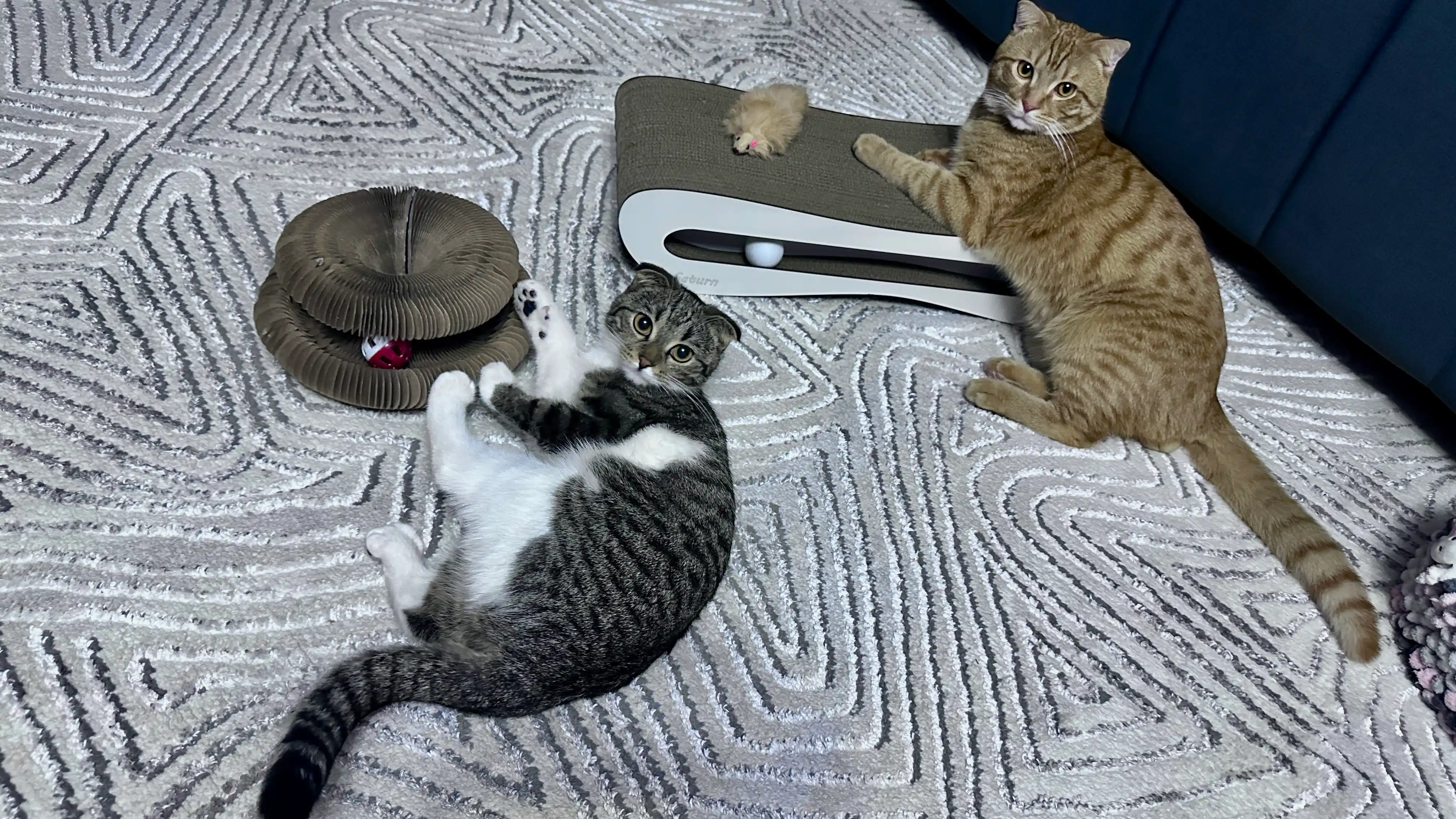 Tirnash ustuni KinderCat Saturn + koptok mushuklar uchun