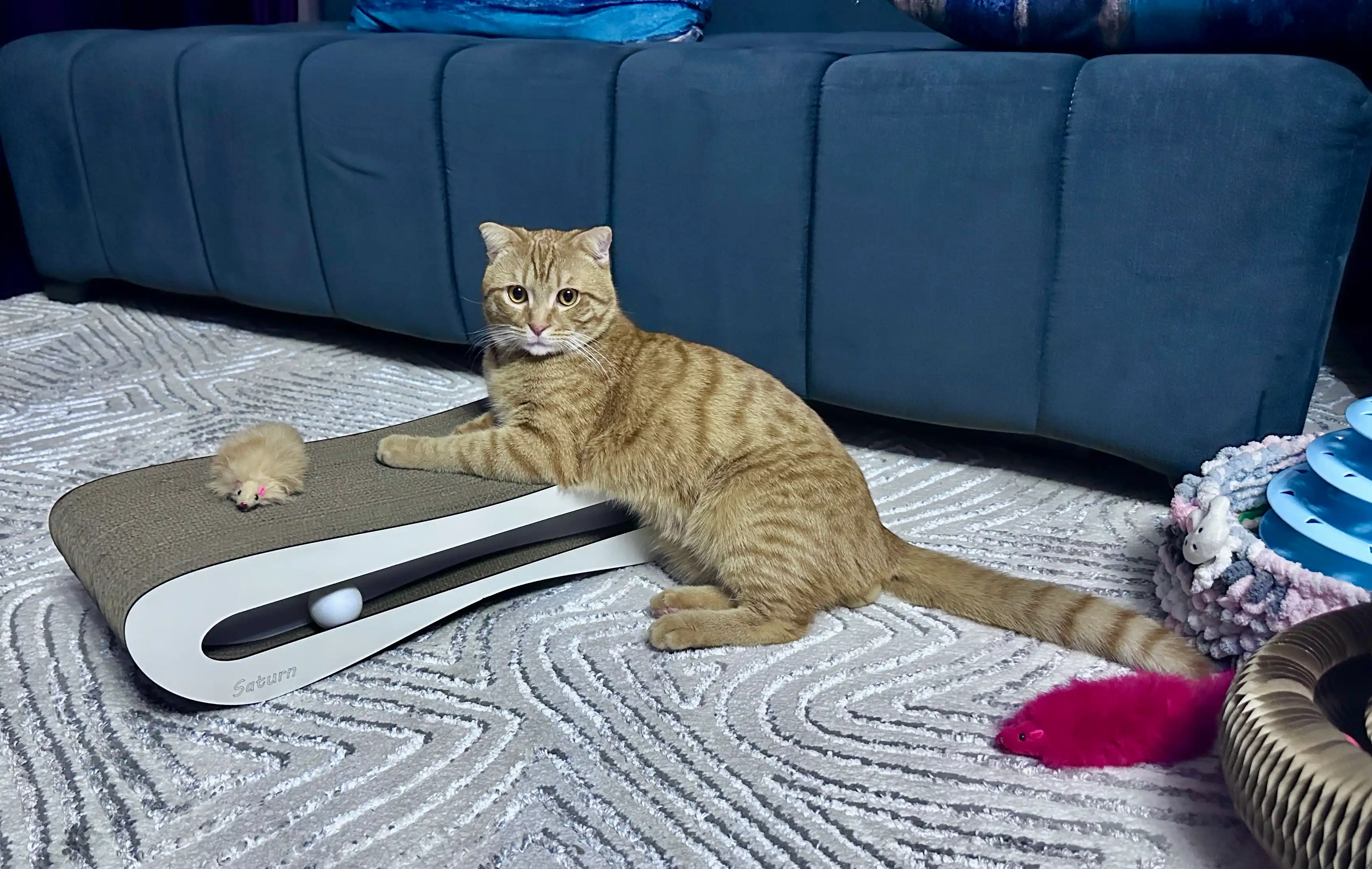Tirnash ustuni KinderCat Saturn + koptok mushuklar uchun
