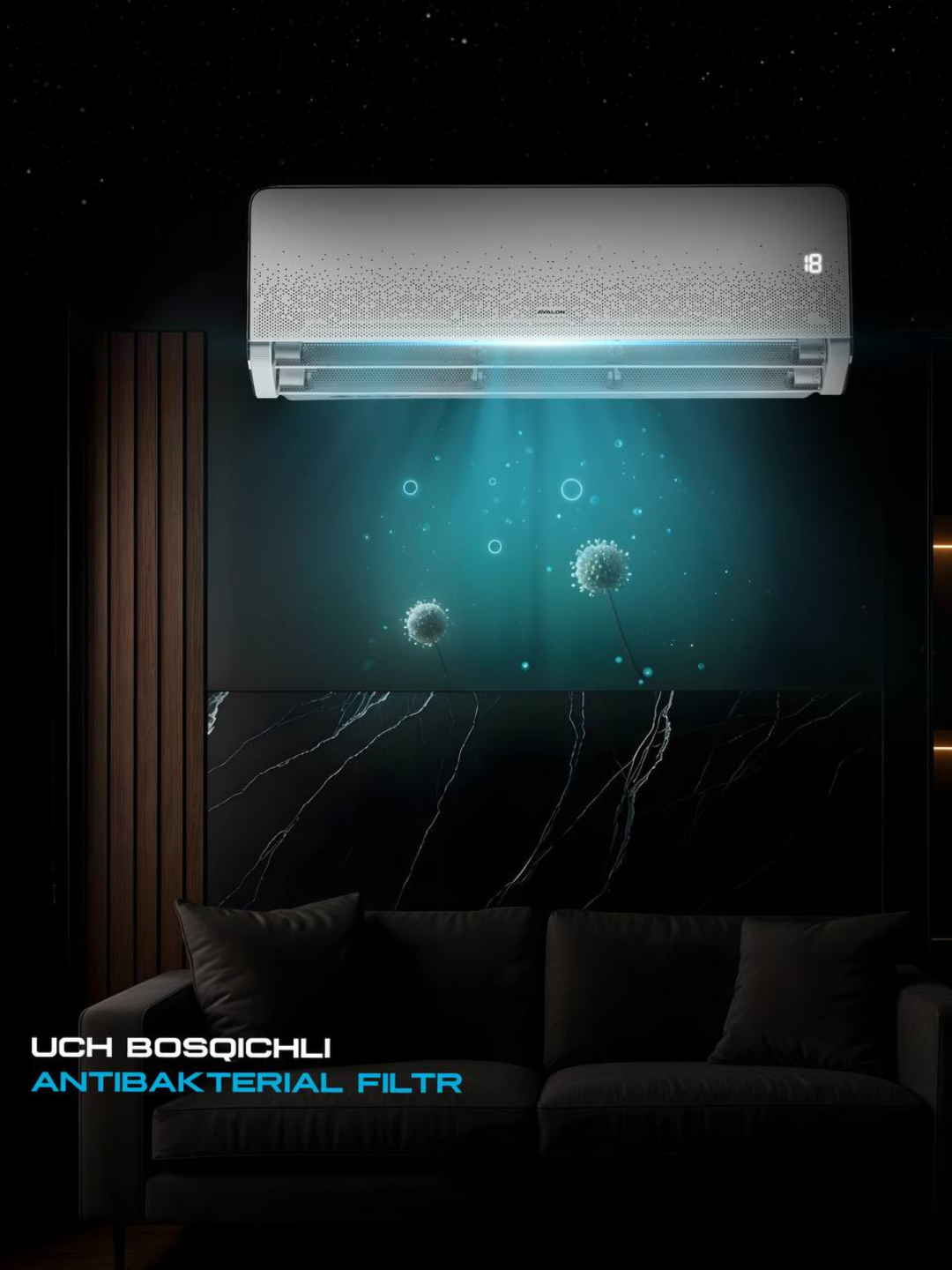 Ерлі-зайыптылардың порно үйінің видеосы