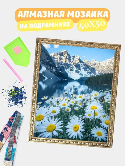 Алмазная мозаика по теме "ЦВЕТЫ", холст на подрамнике, 40*50 см — GIGAMON-GL40X50-БАГРОВ