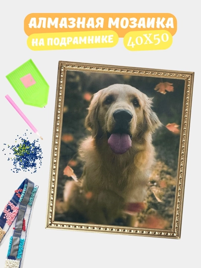 Алмазная мозаика по теме "ЖИВОТНЫЕ", холст на подрамнике, Алмазная мазайка, 40*50 см — GIGAMON-HY40X50-БАГРОВ