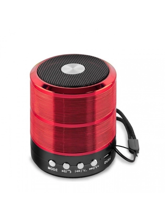Portativ dinamik mini-kolonka, WS-887