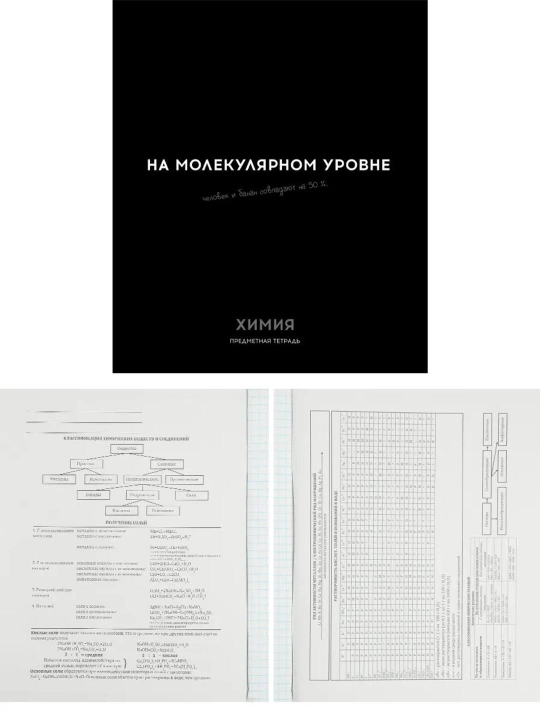 A5 formatda fan daftarlar to‘plami, 48 bet, katak va chiziqli, 10 dona, qo‘llanma bilan