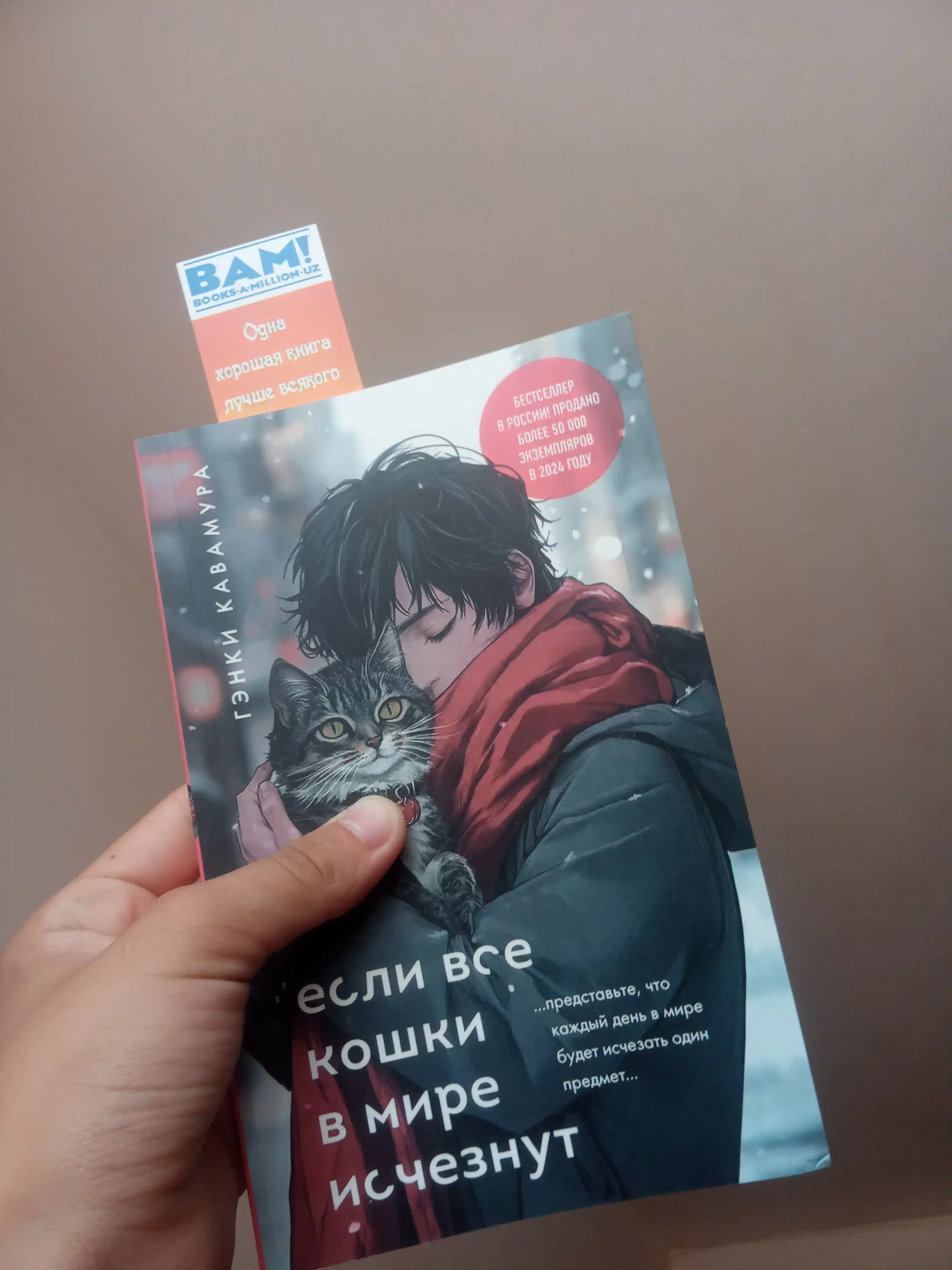 Если все кошки в мире исчезнут, Гэнки Кавамура