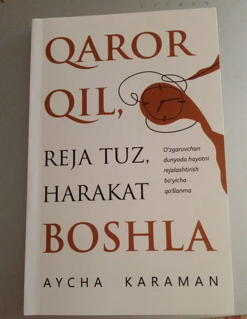 Qaror qil, reja tuz, harakat boshla — Aycha Karaman, shaxsiy rivojlanish kitobi