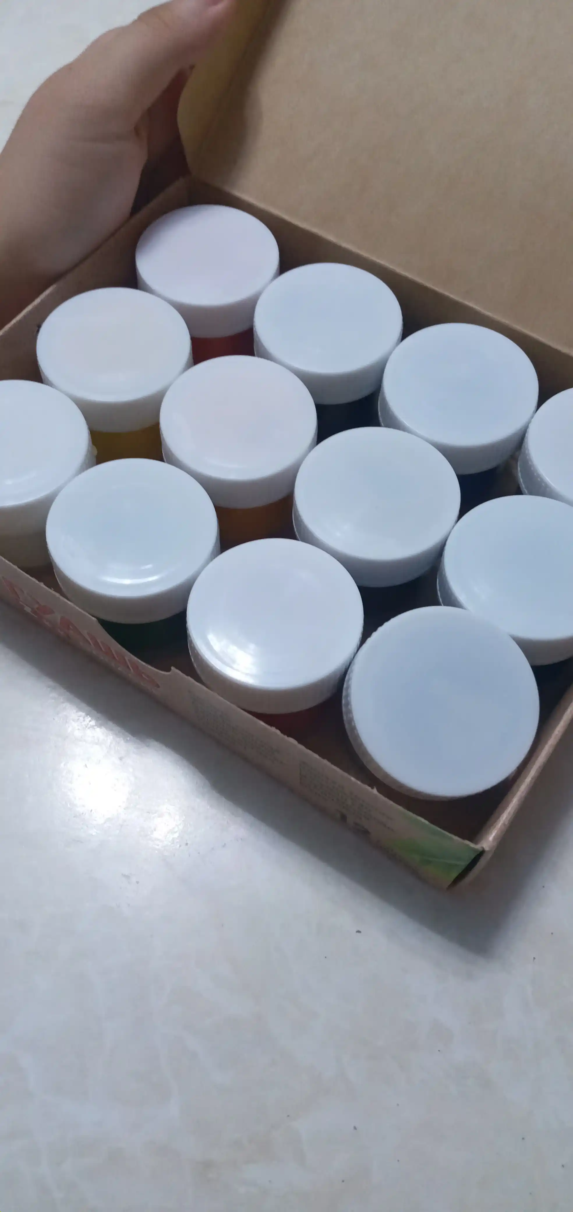 Guash Luch ZOO, 15 ml dan 12 rang
