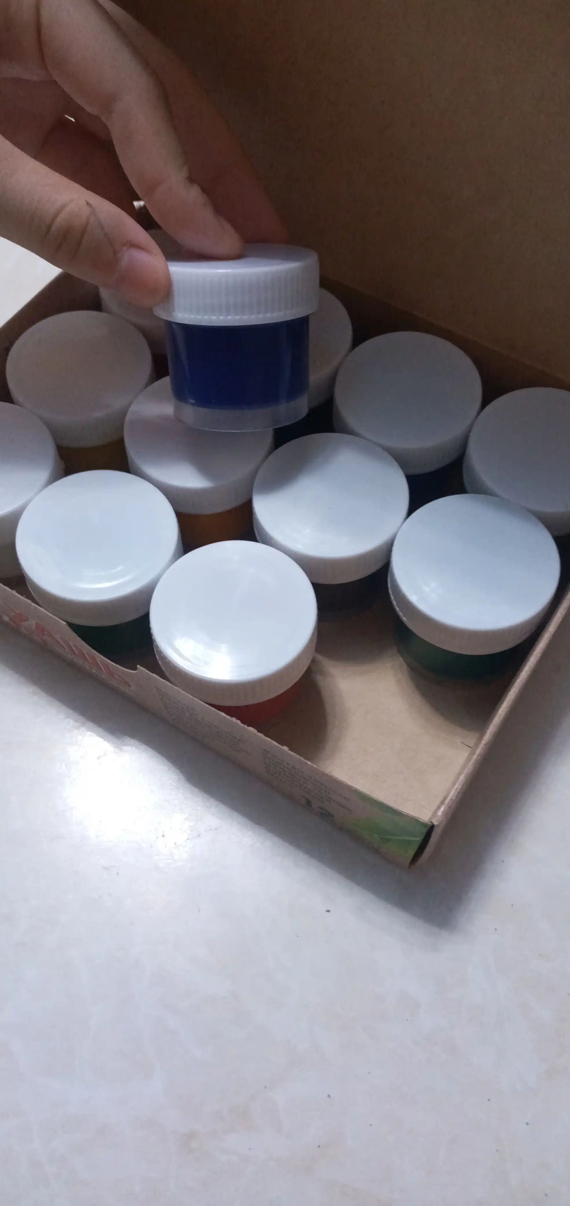 Guash Luch ZOO, 15 ml dan 12 rang