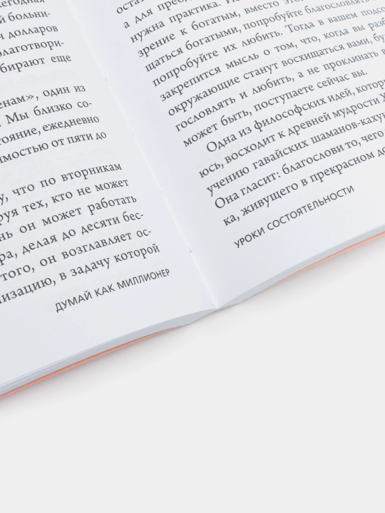Экер Харв Т. Думай как миллионер. 17 уроков состоятельности для тех, кто готов разбогатеть