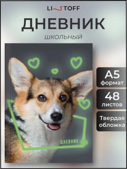 Дневник школьный, 1-11 класс, твердый переплет, 40-48 листов, дизайнерская обложка — GORFAM-GRF7314-КОРРОЗ