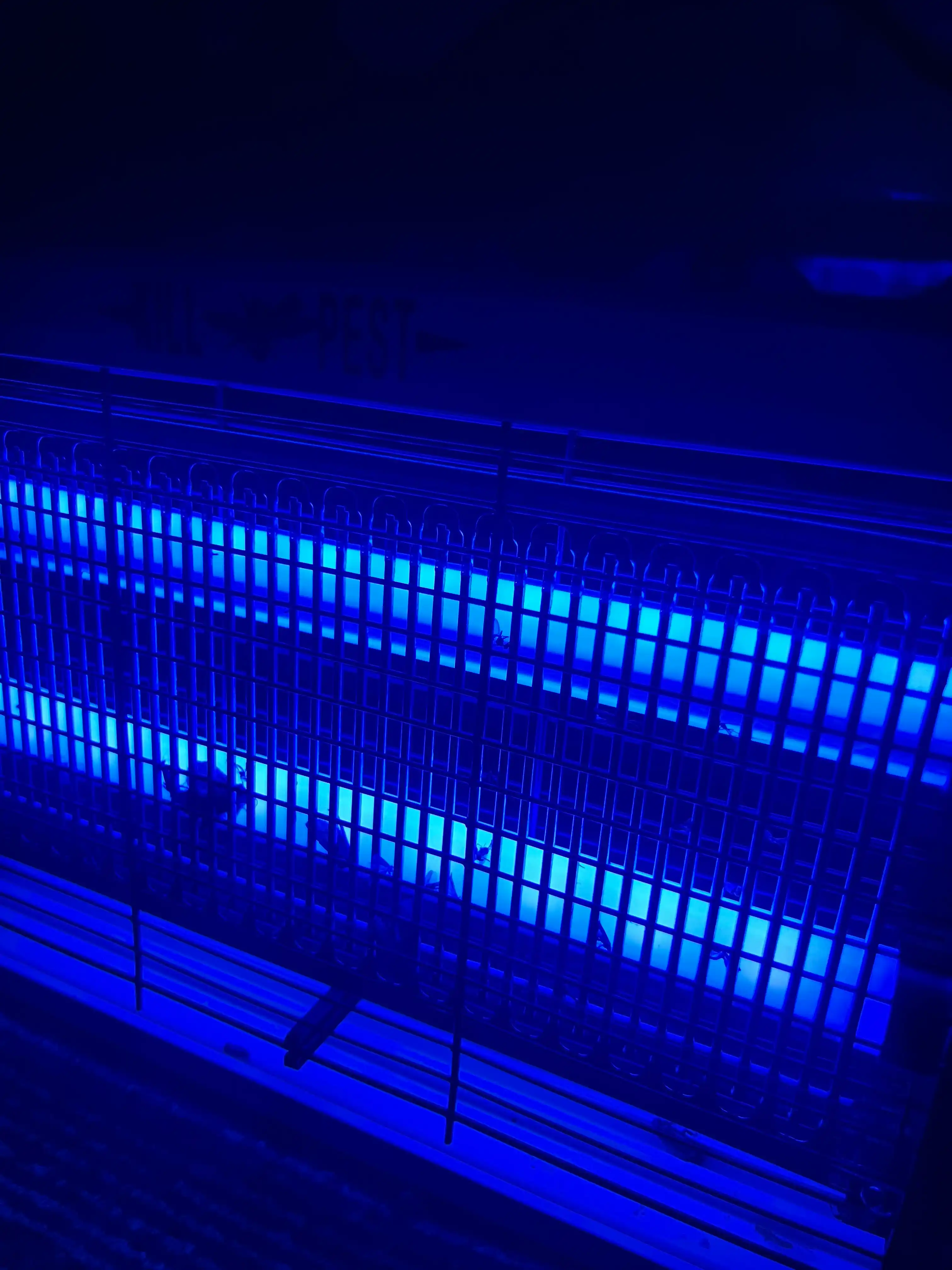 Elektr pashshaboz, ultrabinafsha, chivin va pashshalardan himoya qiladi
