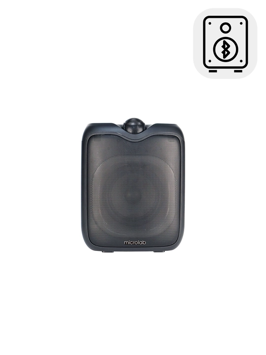 Portativ akustik tizim Microlab PT601w, 20W, Bluetooth 5.0, RGB, Karaoke