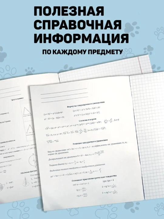 A5 formatda fan daftarlar to‘plami, 48 bet, katak va chiziqli, 10 dona, qo‘llanma bilan