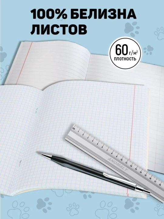 A5 formatda fan daftarlar to‘plami, 48 bet, katak va chiziqli, 10 dona, qo‘llanma bilan