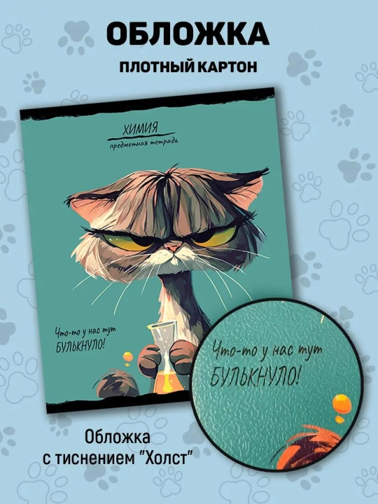 A5 formatda fan daftarlar to‘plami, 48 bet, katak va chiziqli, 10 dona, qo‘llanma bilan