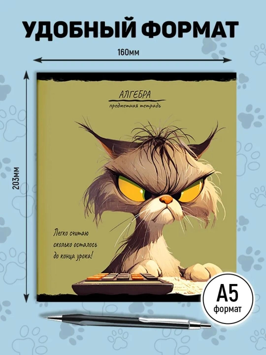 A5 formatda fan daftarlar to‘plami, 48 bet, katak va chiziqli, 10 dona, qo‘llanma bilan