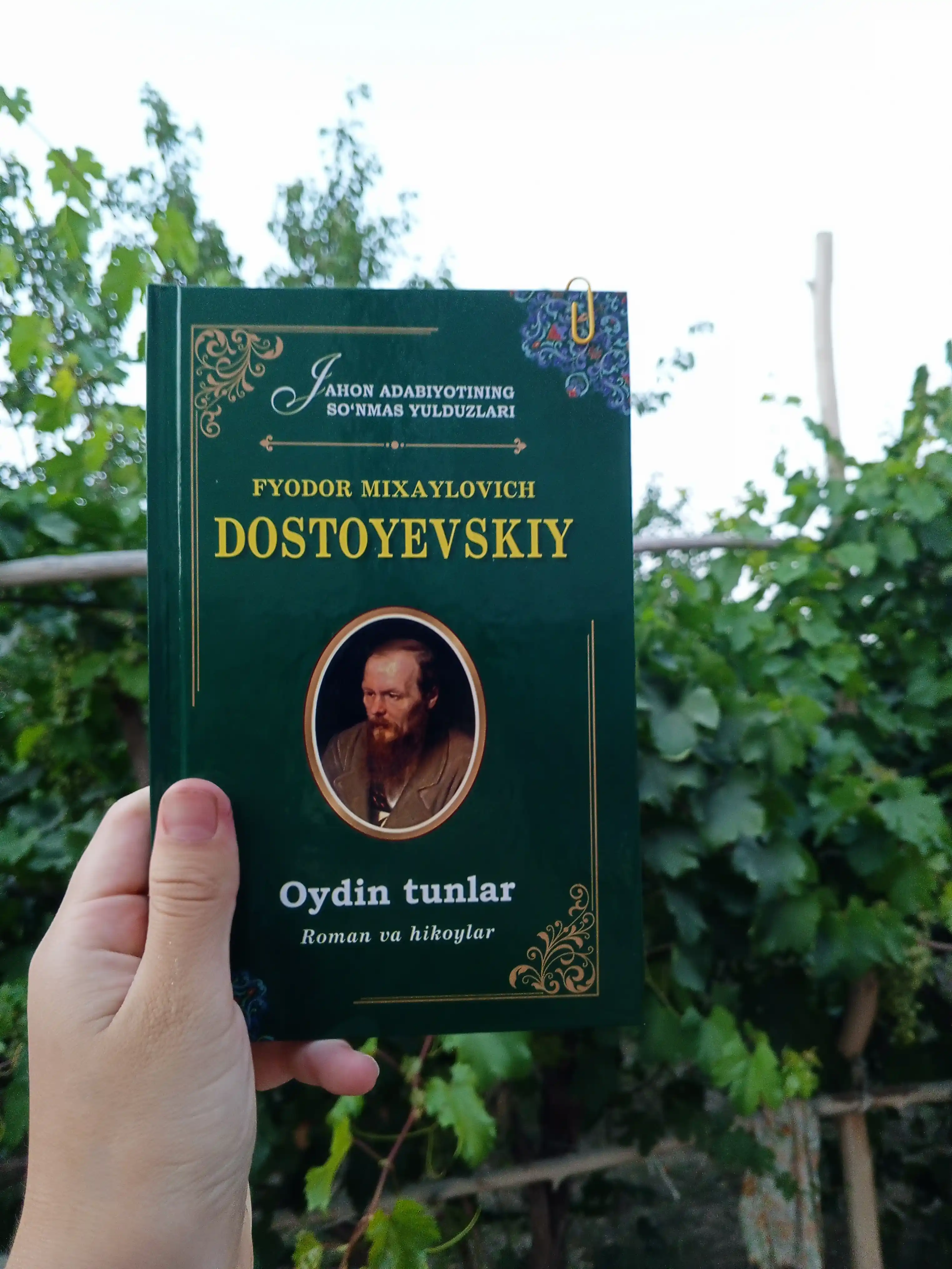 Ойдин тунлар, Фёдор Достоевский