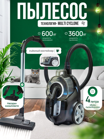 Yalangoch etuk ayollarning yaqin fotosuratlari