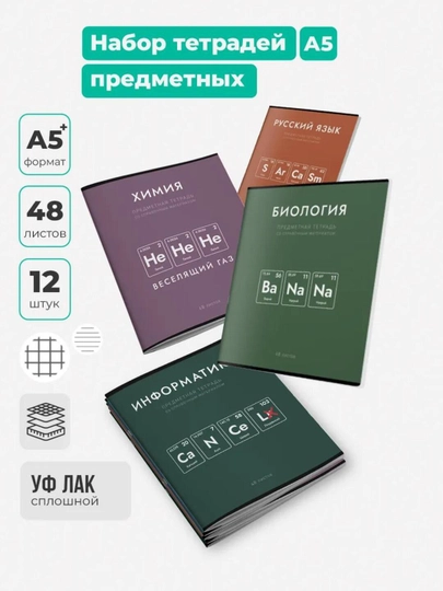 Комплект предметных тетрадей A5, 48 л, в клетку и линию, 12 шт, со справочной информацией — GORFAM-GF42475-БОРДОВ
