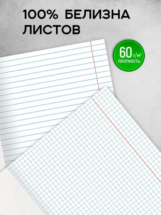 A5 formatda fan daftarlar to‘plami, 48 bet, katak va chiziqli, 12 dona, qo‘llanma bilan