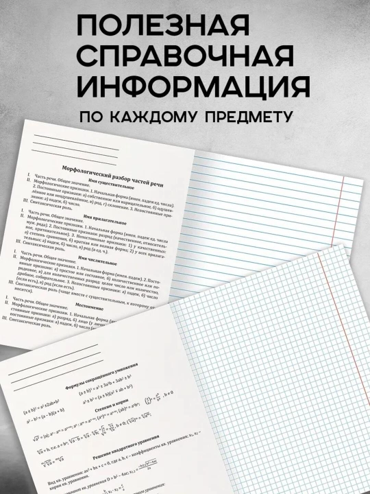 A5 formatda fan daftarlar to‘plami, 48 bet, katak va chiziqli, 12 dona, qo‘llanma bilan
