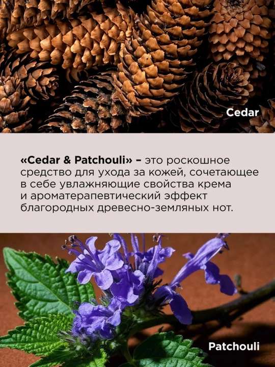 Parfumeriyali dush geli CEDAR & PATCHOULI DREAM NATURE, 650 ml