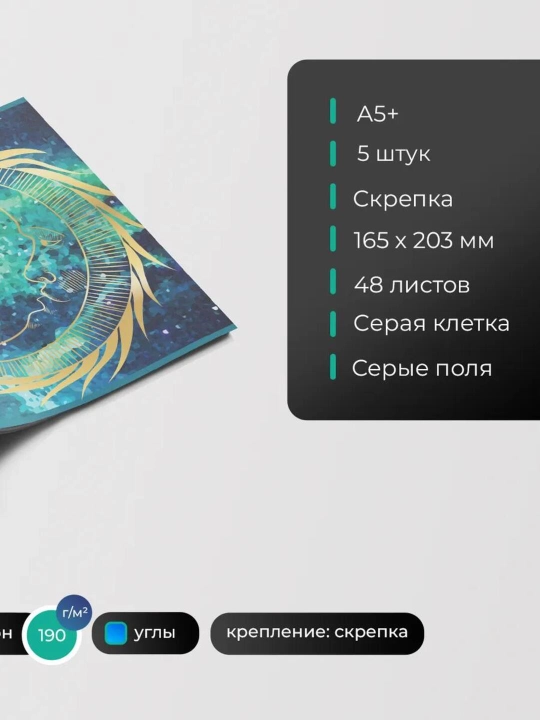 Комплект тетрадей А5, 48 листов, 5 шт, в клетку, для девочек