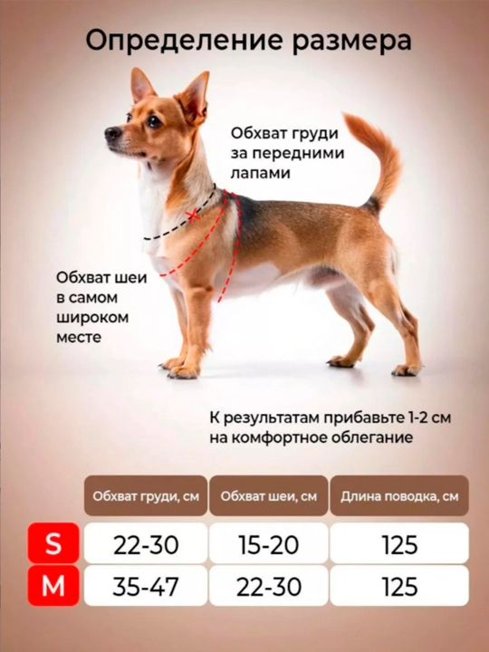 Mushuklar va kichik itlar uchun sozlanishi bog'ichli jabduq, yoqa