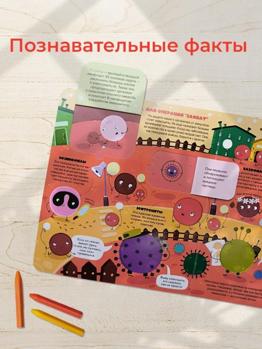 Oynali kitoblar Malamalama – 3+ yoshli bolalar uchun rivojlantiruvchi ensiklopediya