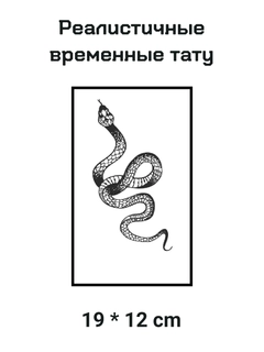 Тёмно-зелёный