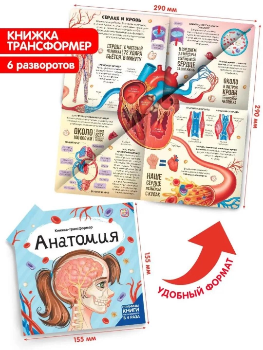 Malamalama "Knjijka-transformer" — origami karton ensiklopediya bolalar uchun, 3+ yosh - 