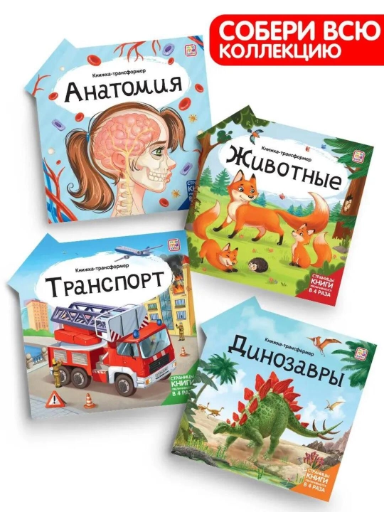 Malamalama «Книжка-трансформер» — картонная энциклопедия-оригами для детей от 3 лет