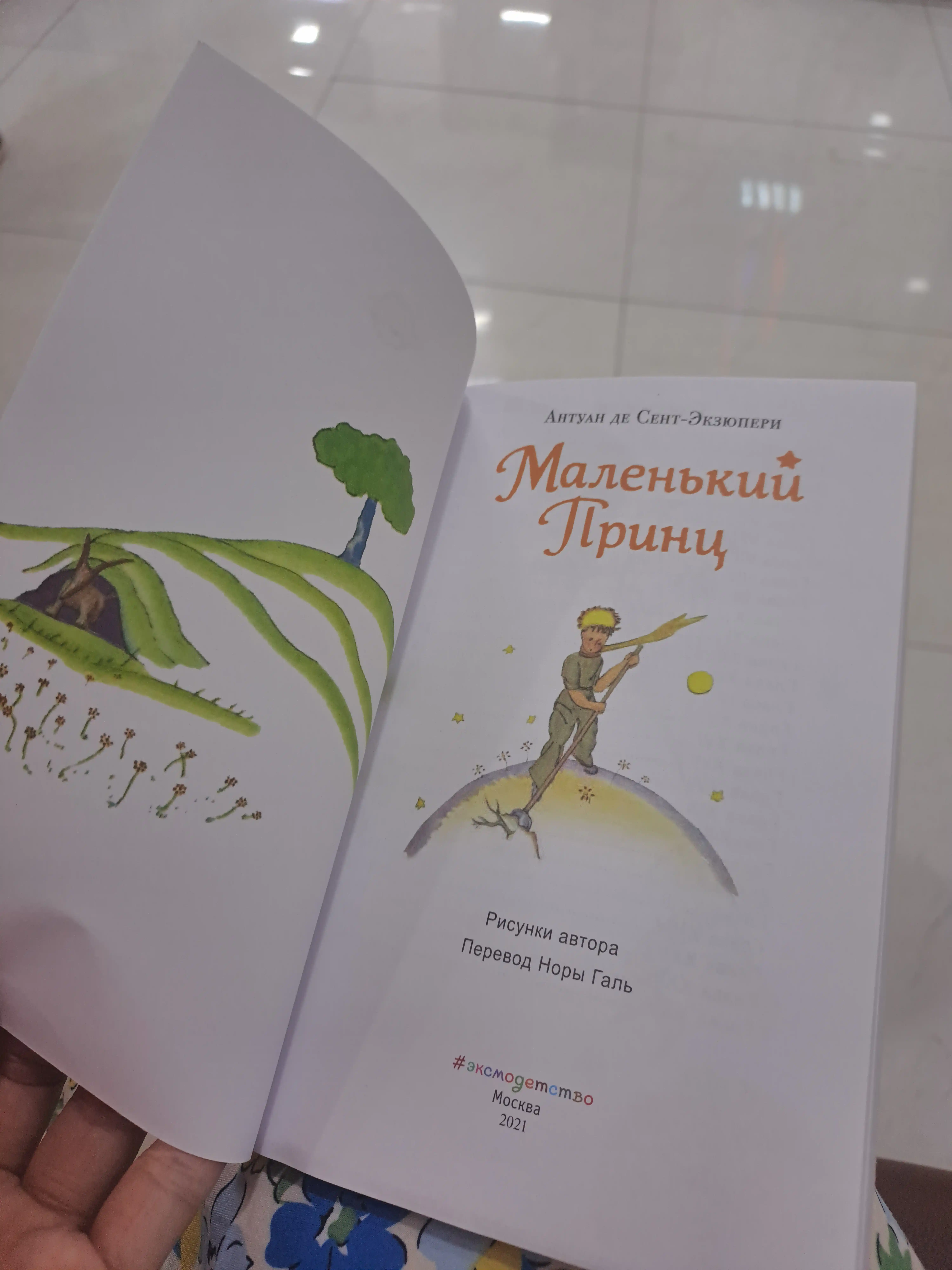 Kitob, Malenkiy Prins, Antuan De Sent- Ekzyuperi