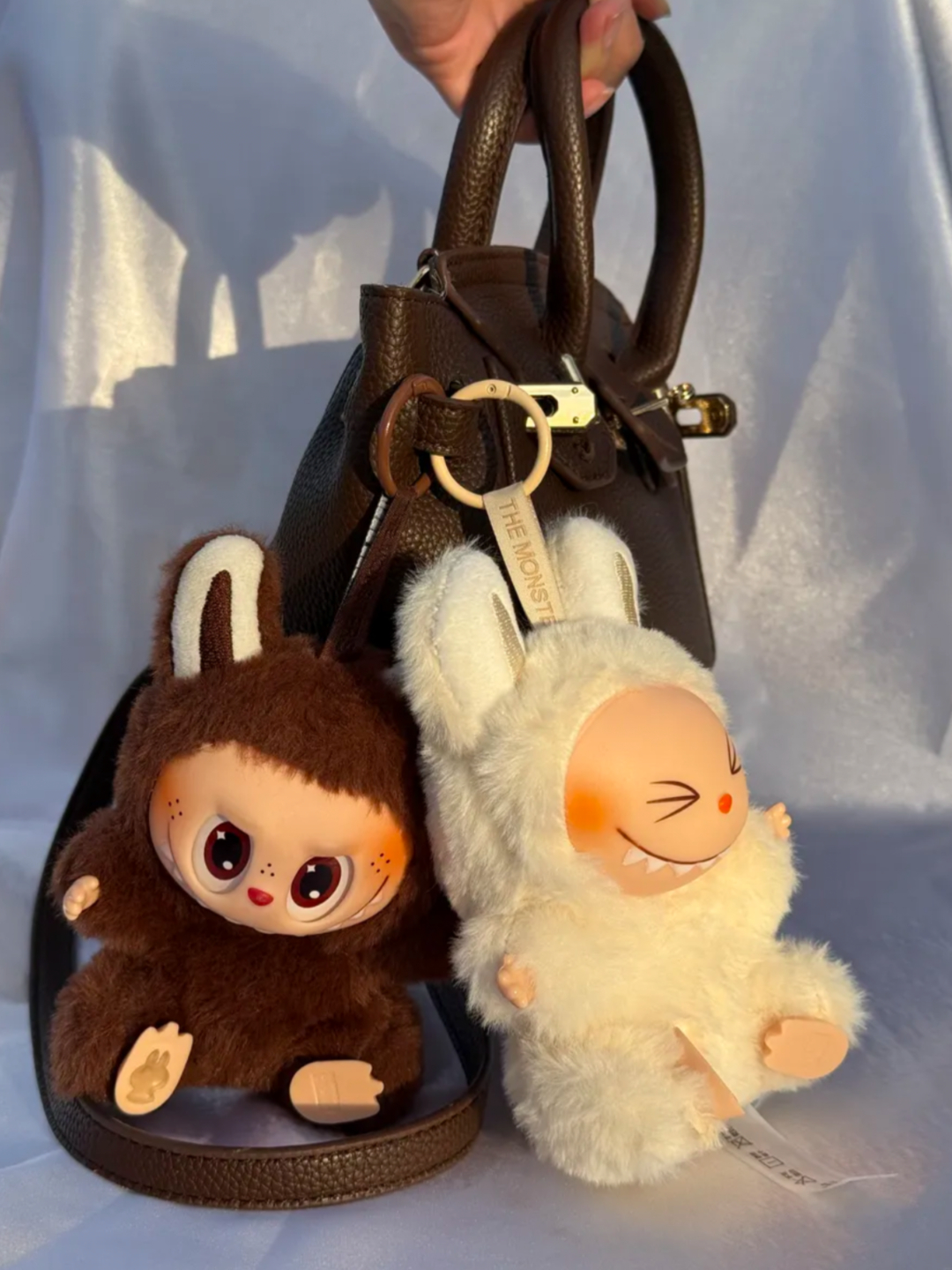 Ular oriqning anusiga kiradilar