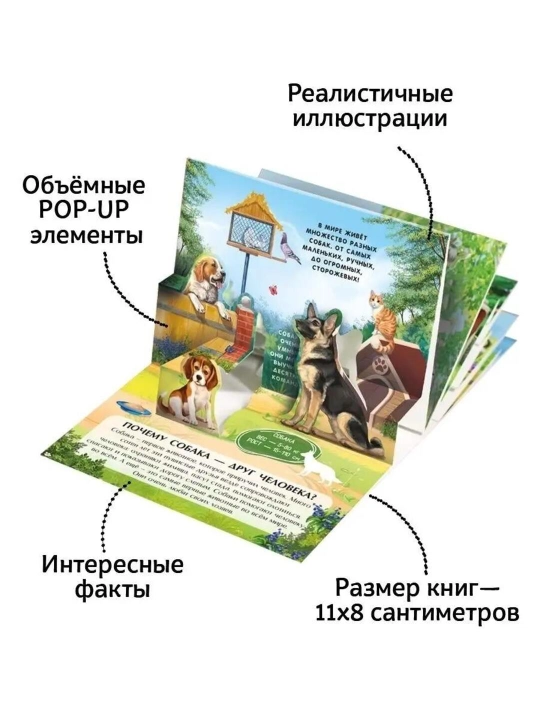 POP-UP книжки-панорамки для детей, набор из 6 книг с объёмными 3D иллюстрациями