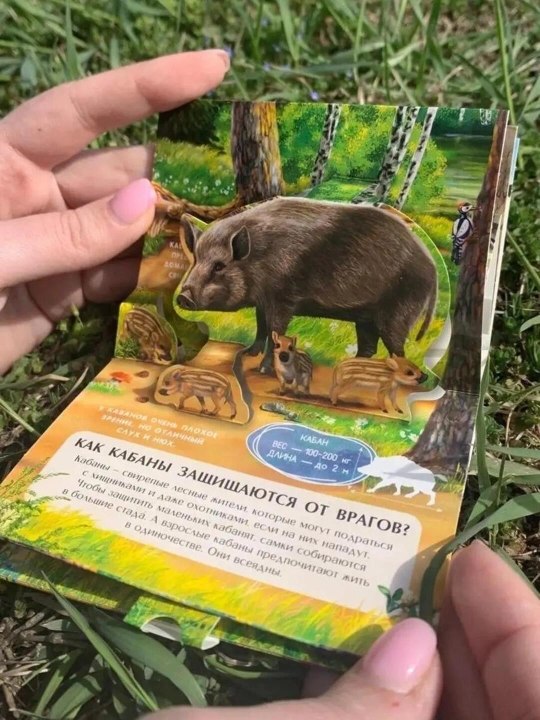 POP-UP книжки-панорамки для детей, набор из 6 книг с объёмными 3D иллюстрациями