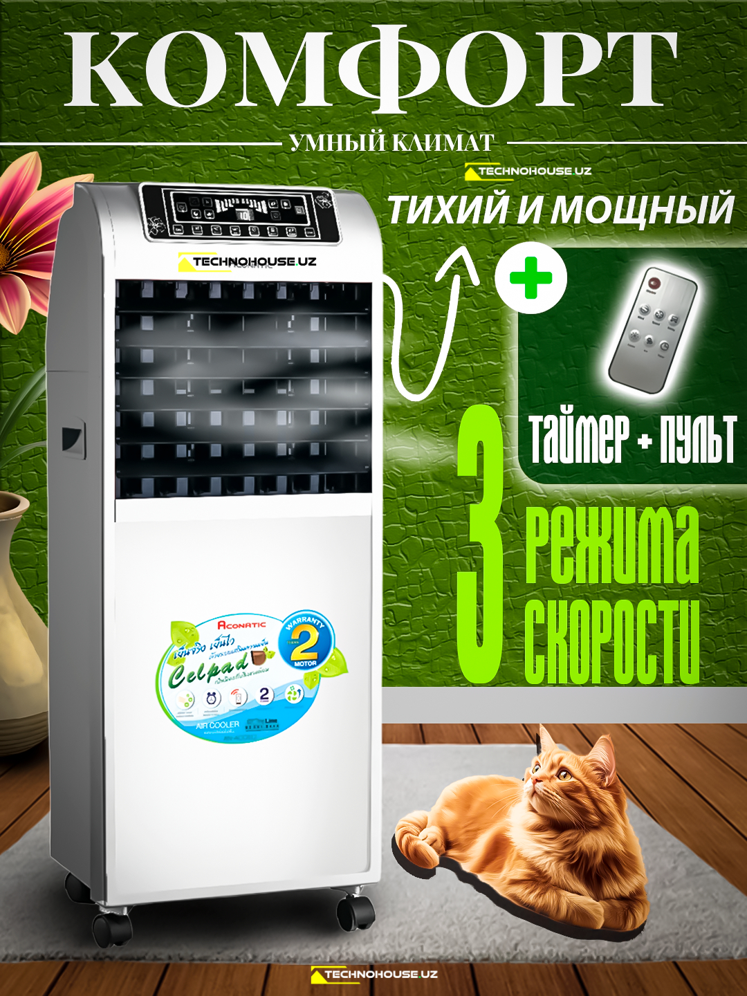 Issiqlikda mushuk (foto)