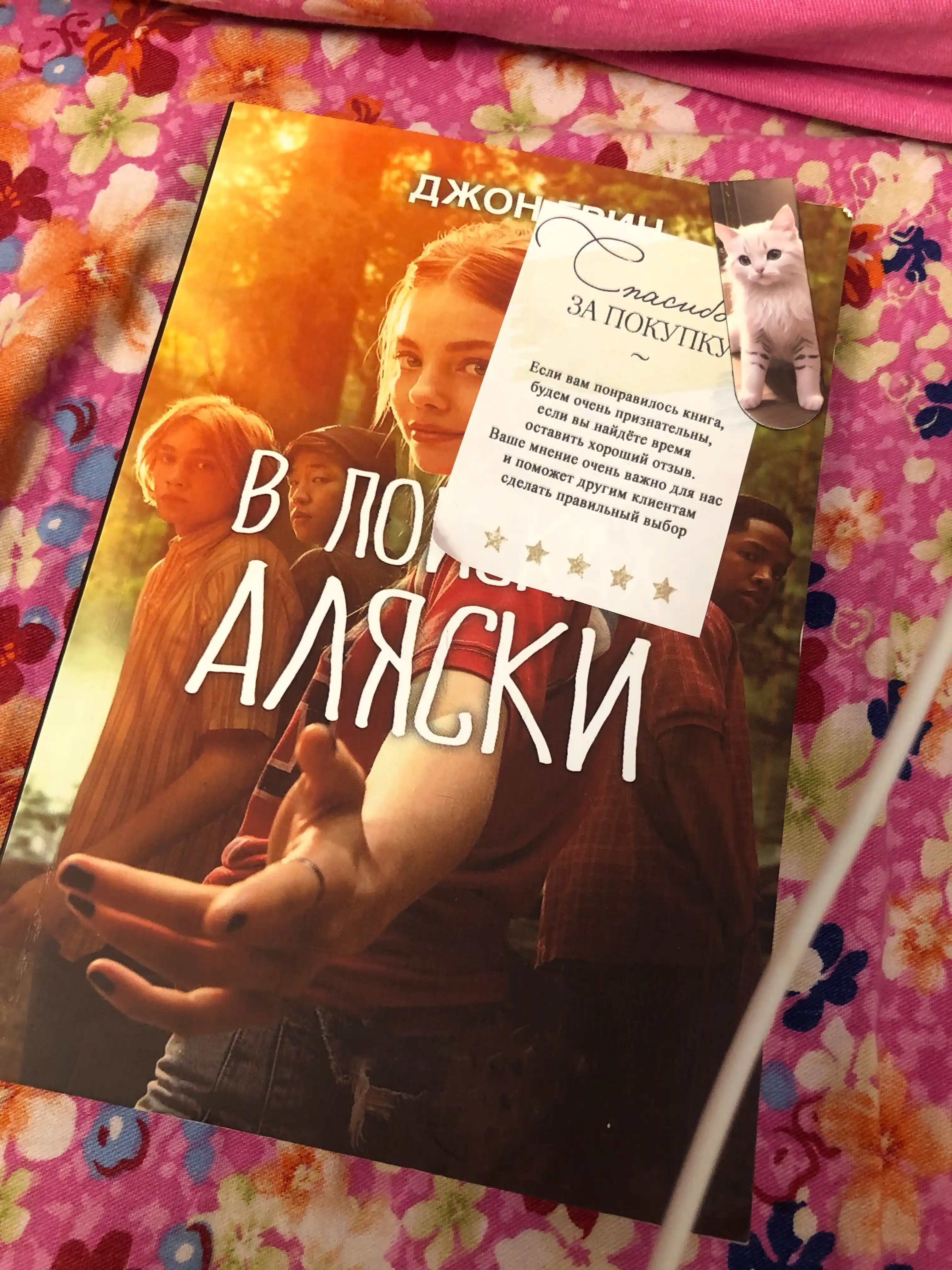 V poiskakh Alyaski. Dzhon Grin