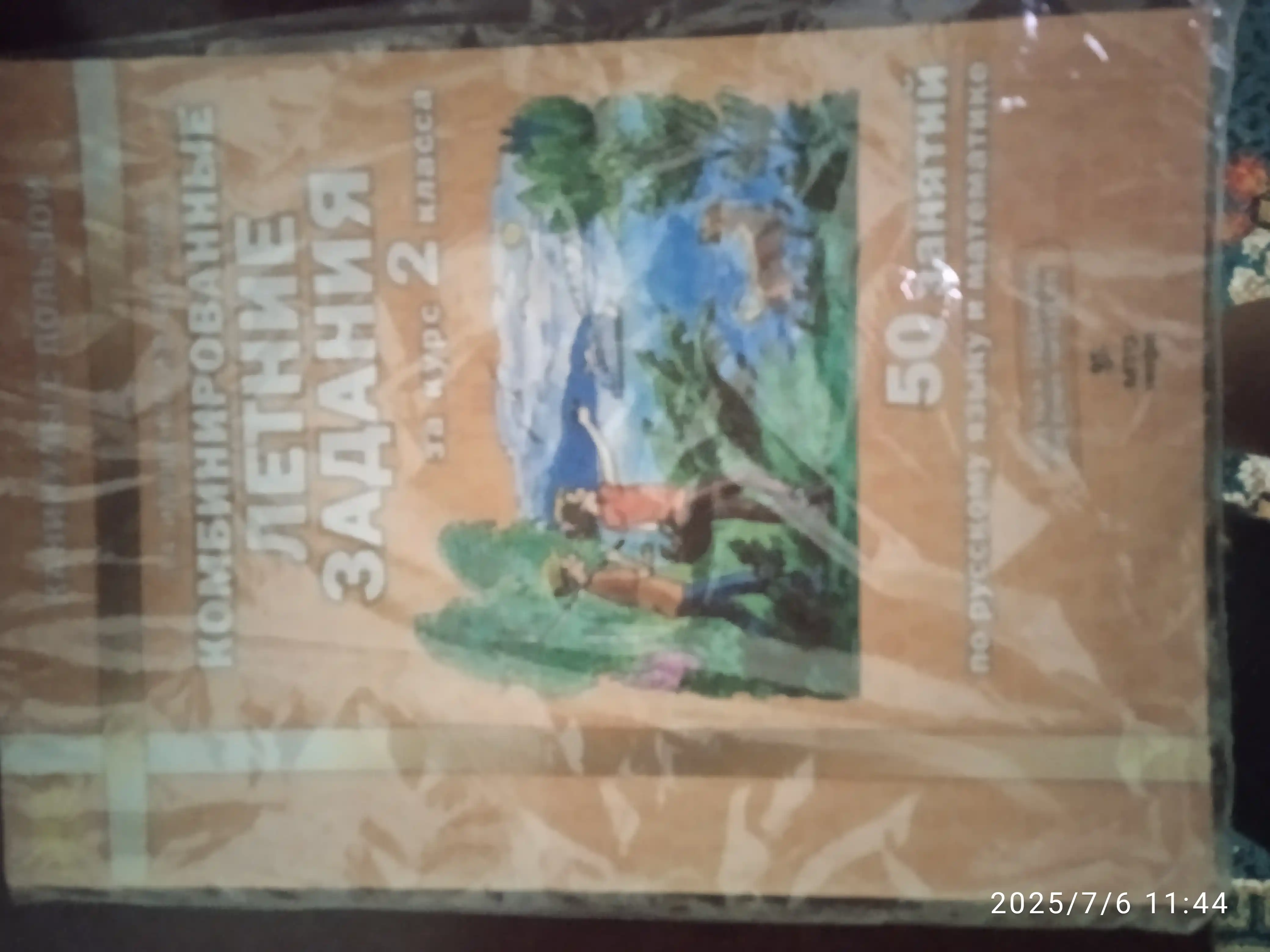 Kombinirovannyye letniye zadaniya, za kurs 2 klassa