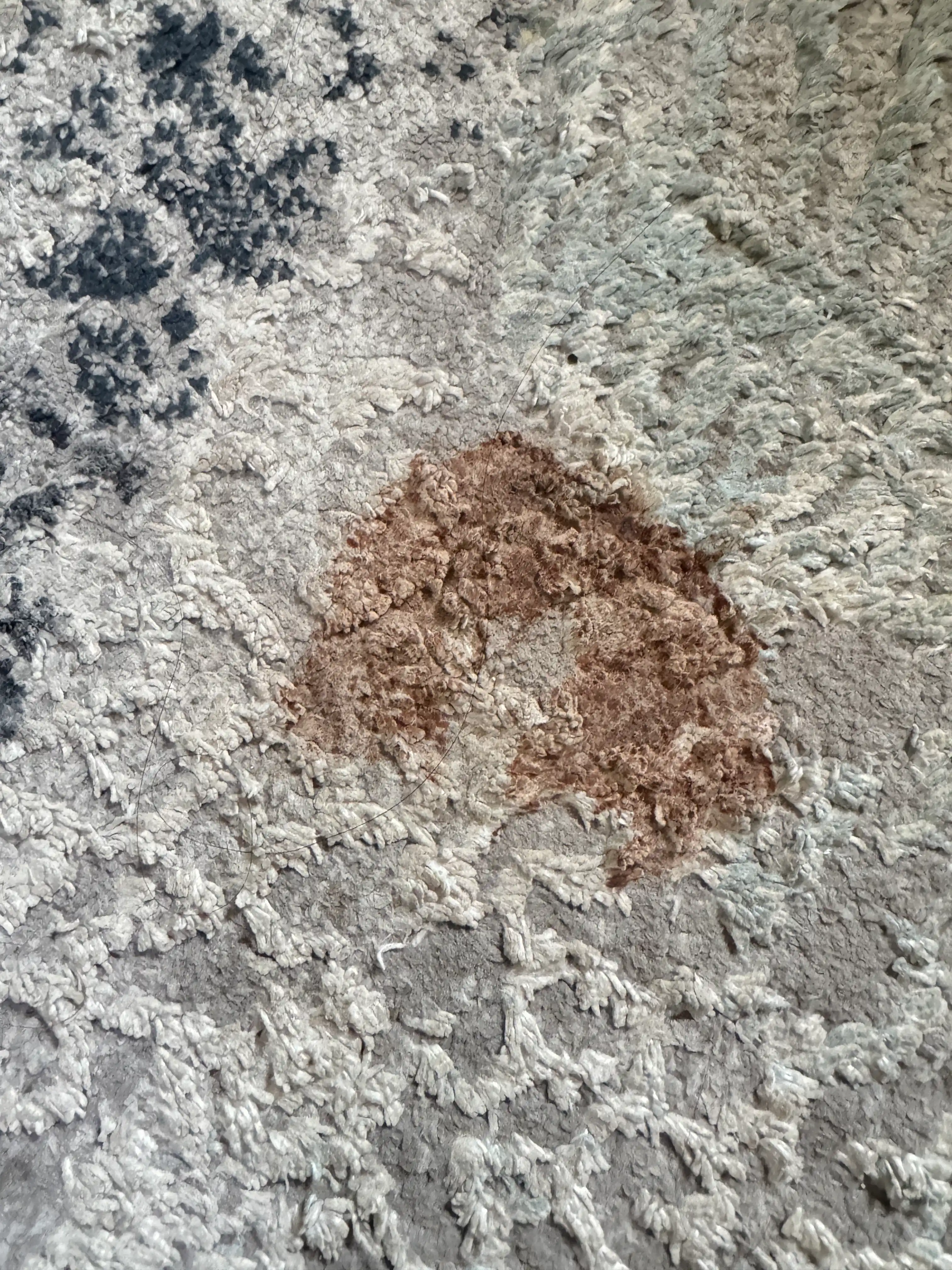 Моющий пылесос для химчистки, в доме и авто Паранератор для пятен