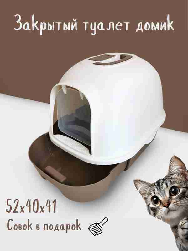 Rossiya mashhur porno videolar