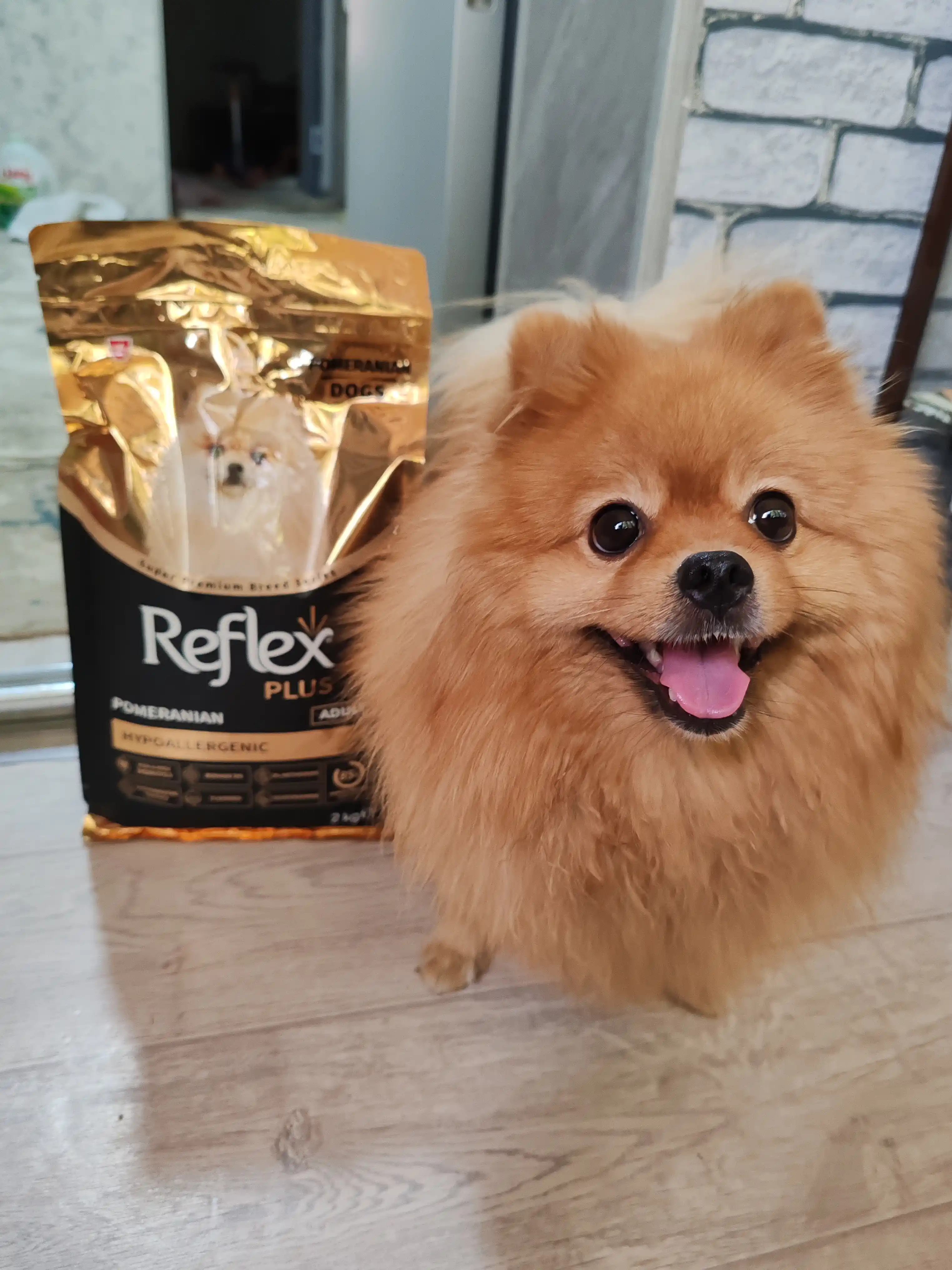 Relex Plus Сухой корм от для взрослых собак, породы Померанский шпиц, 2 кг