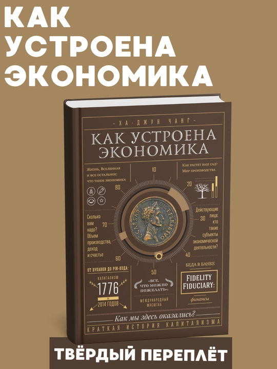 Kak ustroyena ekonomika, Kha-Dzhun Chang, moliya, investitsiyalar - 