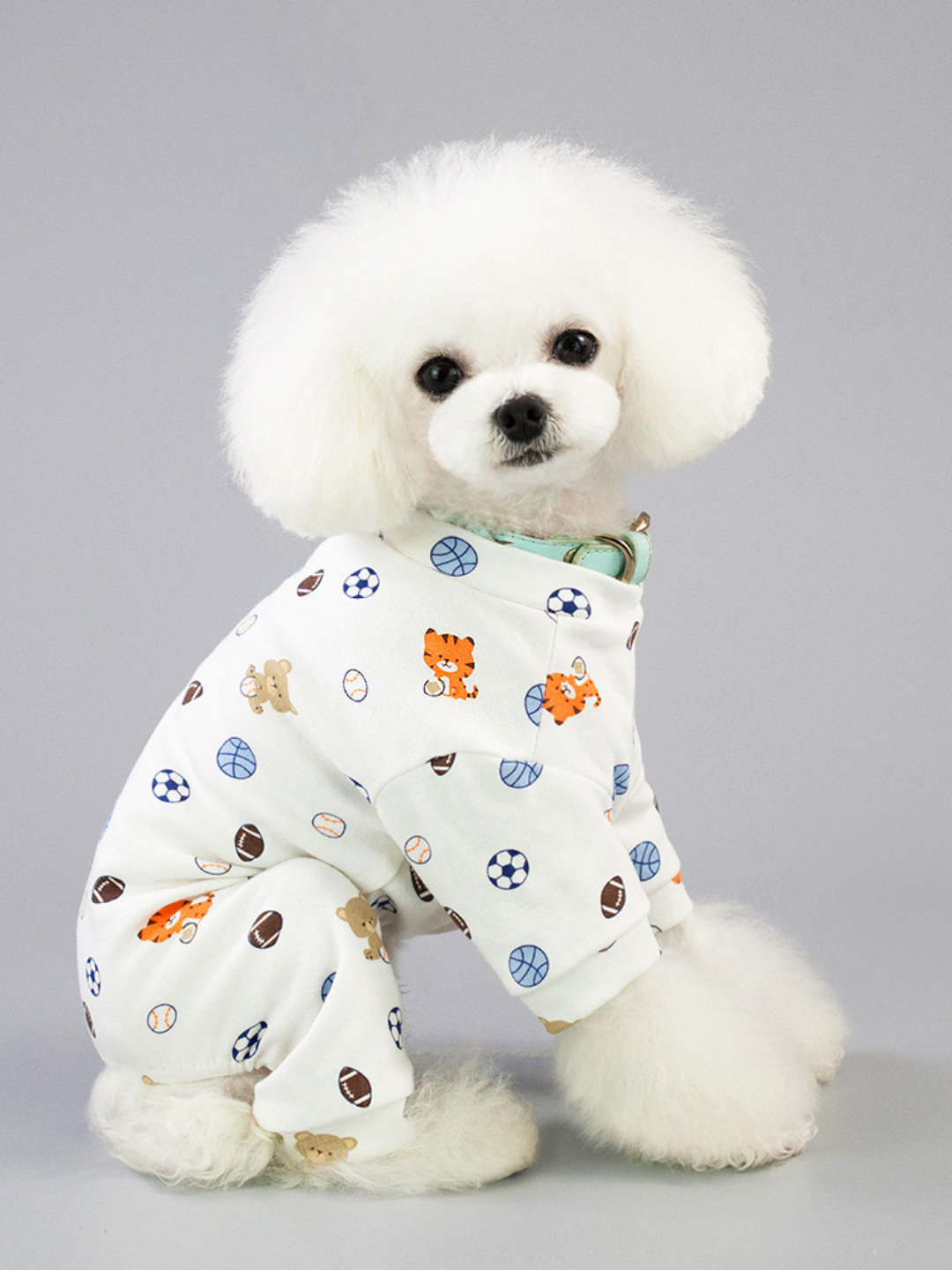 Jinsiy aloqa va kunnilingus haqida intim filmlar