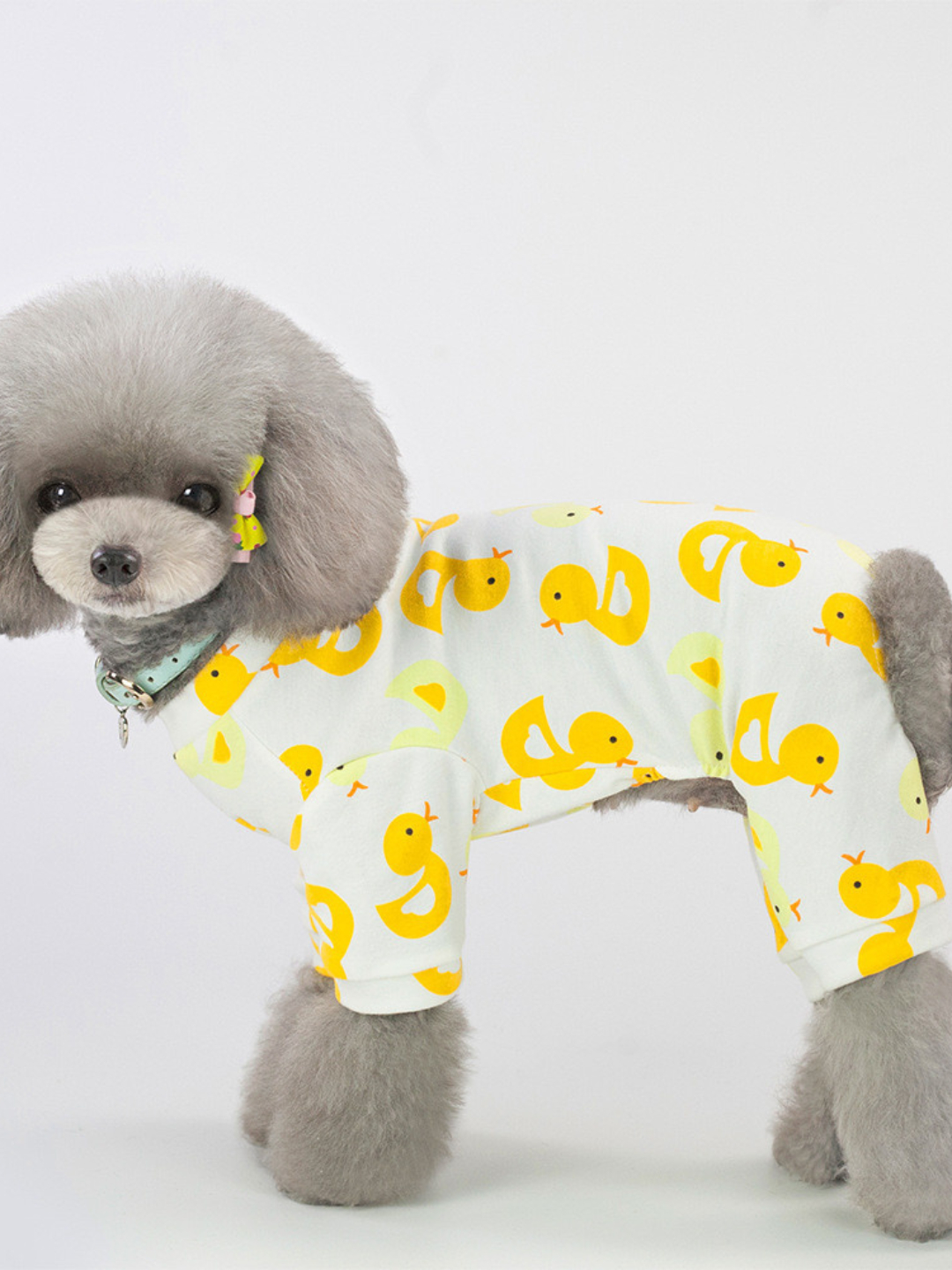 Anal jinsiy aloqada bolgan yoshlar